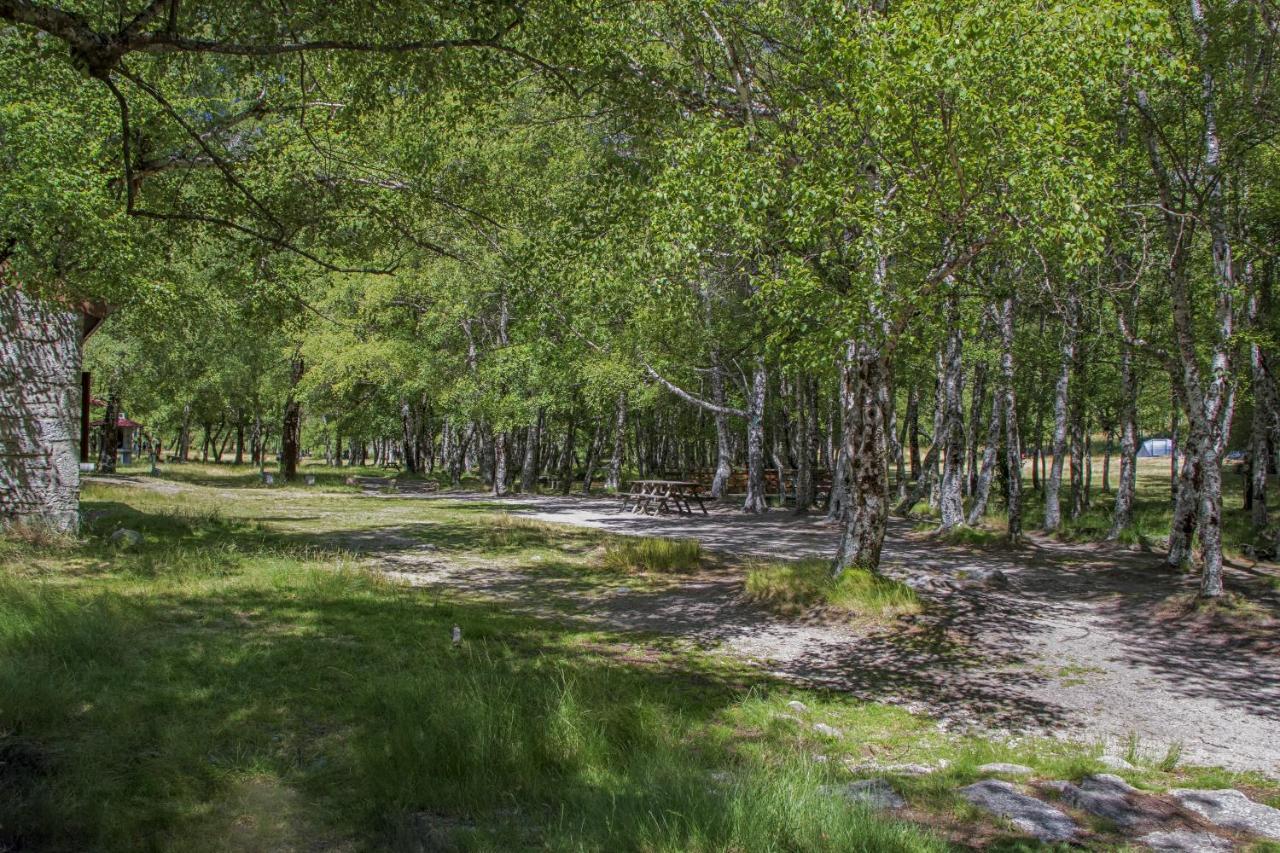 Luna Chalets Da Montanha - Serra Da Estrela Ковілян Екстер'єр фото